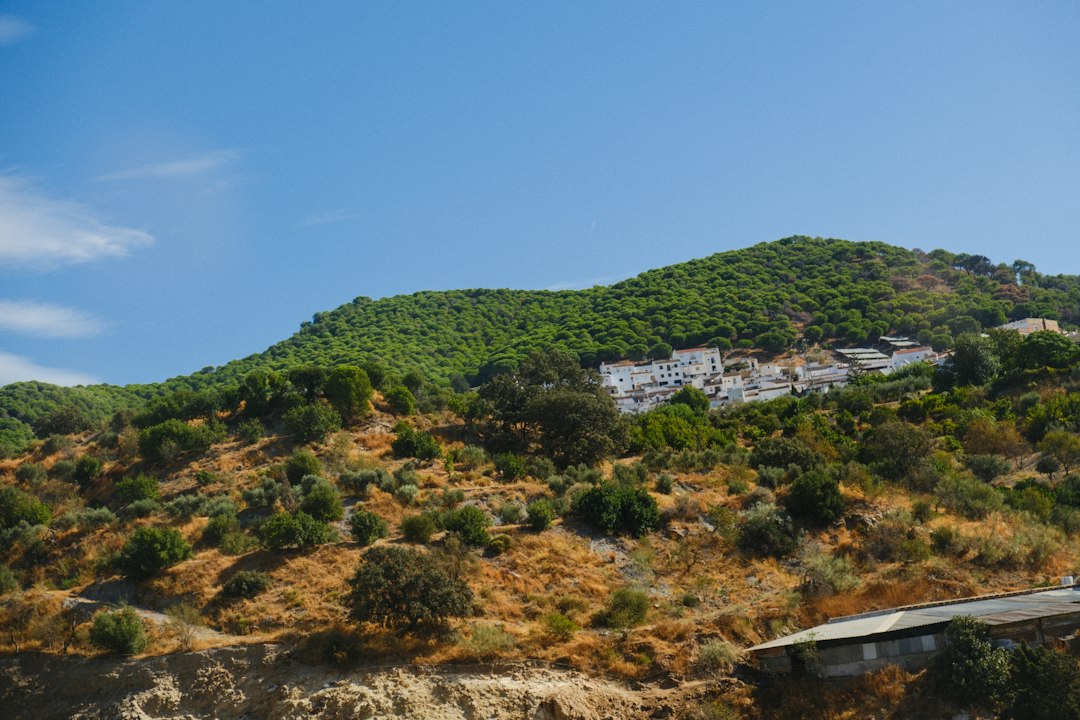 Sunlit Mediterranean terrace overlooking the Axarquía, representing web design services for local businesses