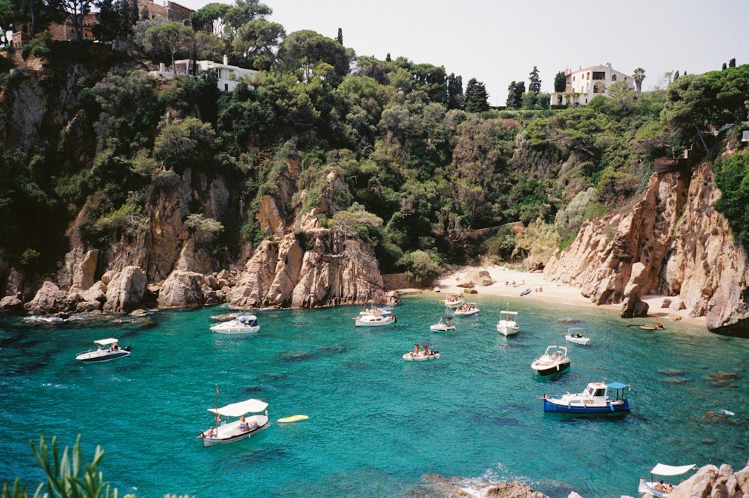 Boats moored in a Mediterranean harbour near Blanes