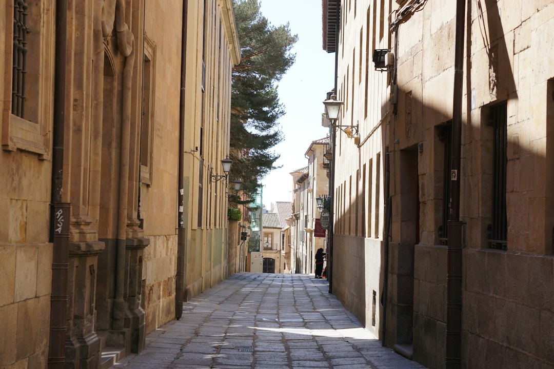 Traditional historic street in Salamanca province